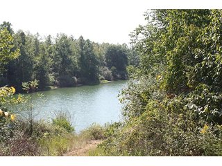 Property photo 68 - 419 +/- Acres offered in 6 Tracts, Land Auction